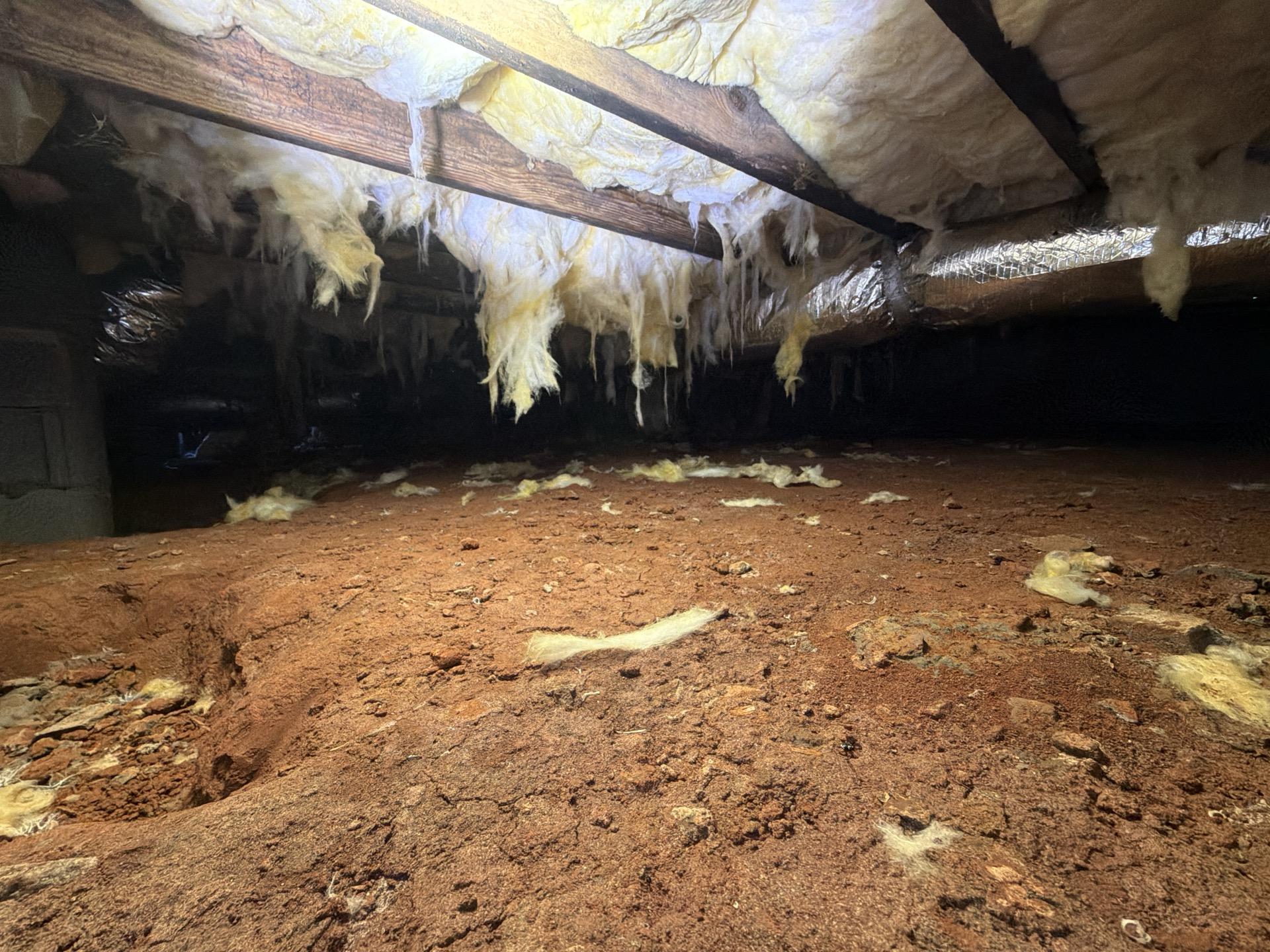Crawlspace before service with fallen and damaged insulation