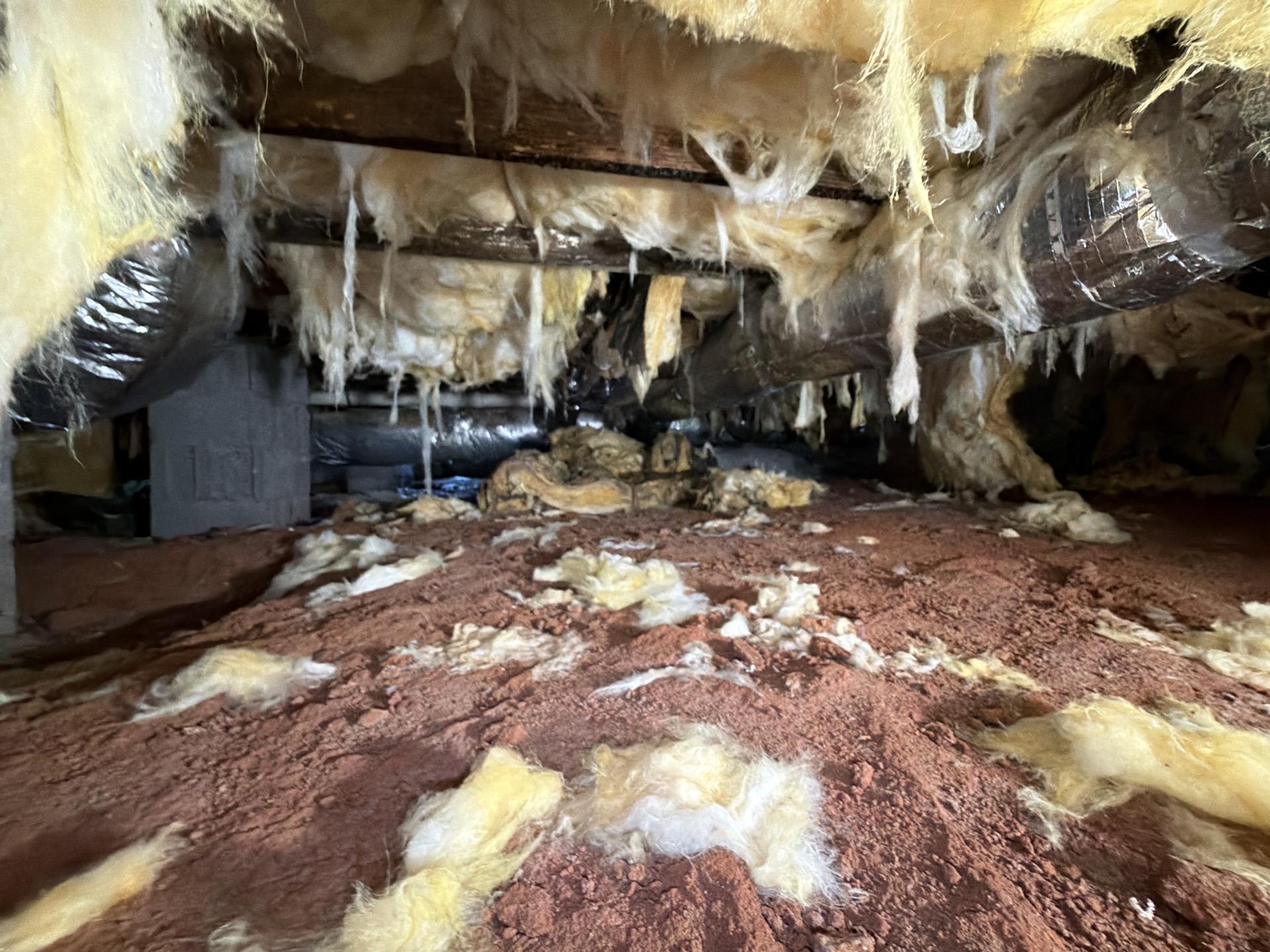 Crawlspace before service with fallen insulation scattered across exposed soil